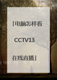 电脑怎样看CCTV13在线直播