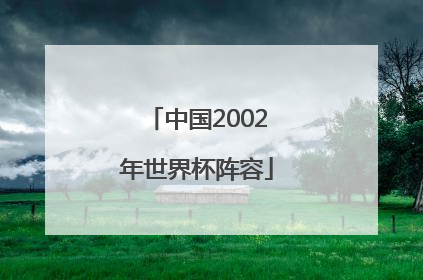 「中国2002年世界杯阵容」2002年世界杯中国队阵容10号