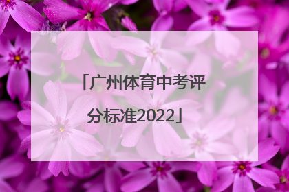 广州体育中考评分标准2022