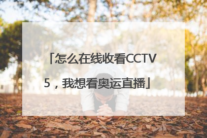 怎么在线收看CCTV5，我想看奥运直播