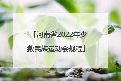 河南省2022年少数民族运动会规程