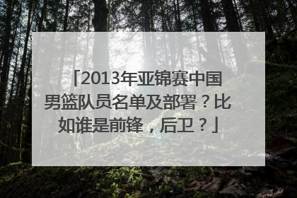 2013年亚锦赛中国男篮队员名单及部署？比如谁是前锋，后卫？