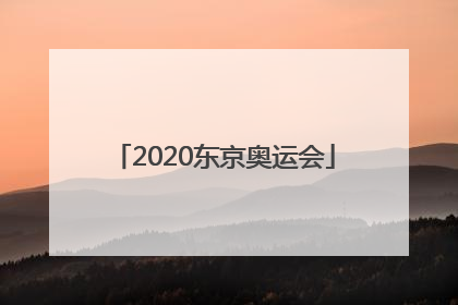 「2020东京奥运会」2020东京奥运会乒乓球男单决赛