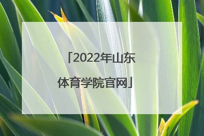「2022年山东体育学院官网」山东体育学院2022录取查询官网