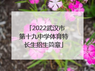 2022武汉市第十九中学体育特长生招生简章