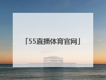 「55直播体育官网」山猫体育直播官网