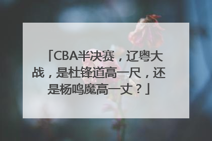 CBA半决赛，辽粤大战，是杜锋道高一尺，还是杨鸣魔高一丈？