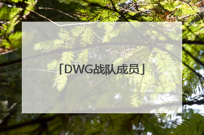 「DWG战队成员」DWG战队成员姓名