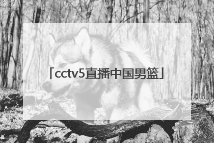 「cctv5直播中国男篮」cctv5+正在直播男篮