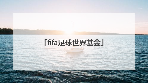 「fifa足球世界基金」fifa足球世界基金活动