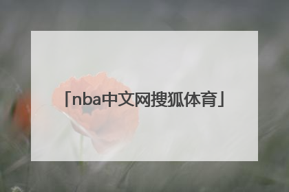 「nba中文网搜狐体育」nba搜狐体育火箭