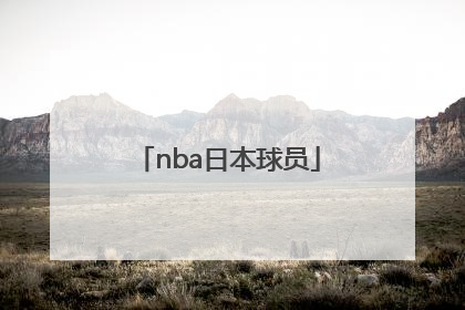「nba日本球员」在NBA的日本球员