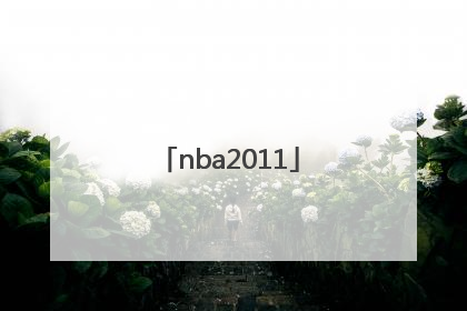 「nba2011」nba2011探花
