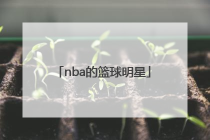 「nba的篮球明星」篮球明星中国队